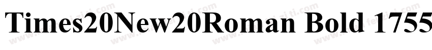 Times20New20Roman Bold 1755字体转换